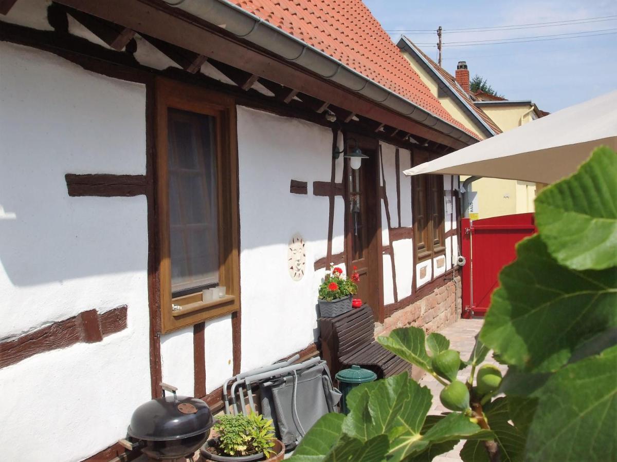 Ferienhaus Pfalzklause Billigheim-Ingenheim Extérieur photo